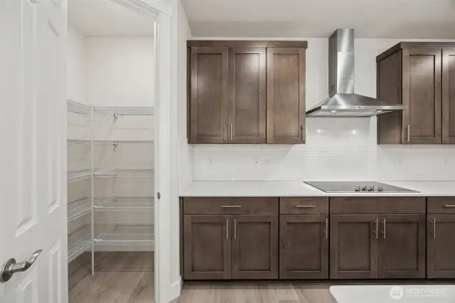 Walk-In Pantry