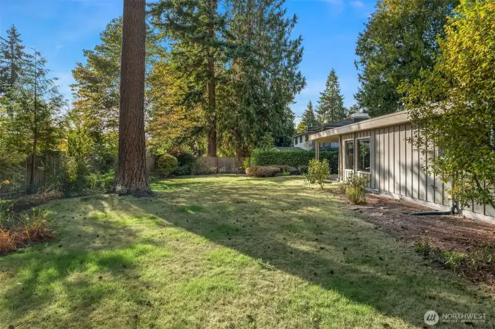 Large south facing flat backyard