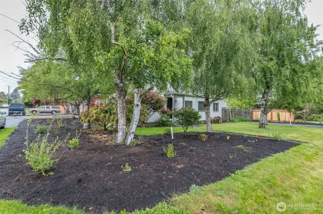 Spacious corner lot