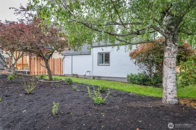 Large sideyard
