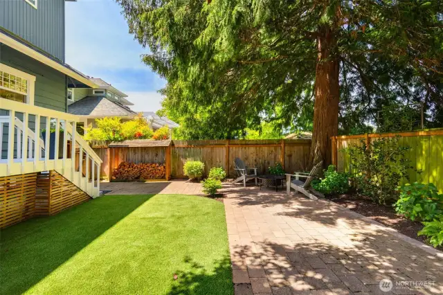 A great back yard for pets and people to play!
