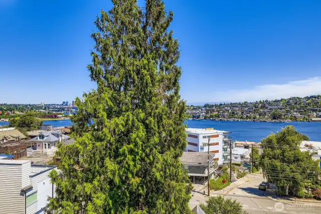 Gas Works Park and the UW campus views