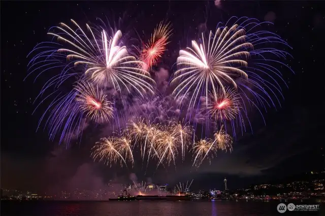 The famous Lake Union ~ Firework show!