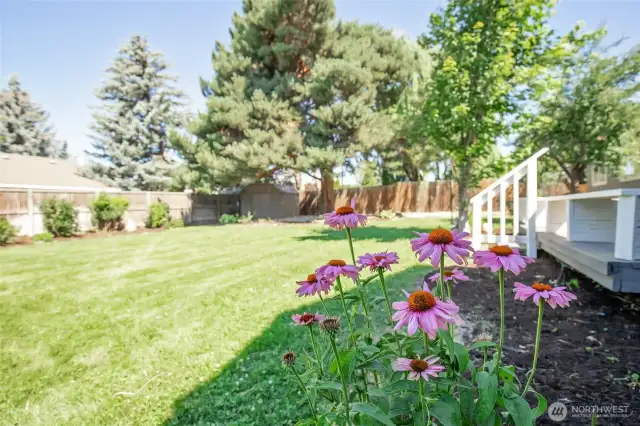 Large rear yard with mature landscaping.