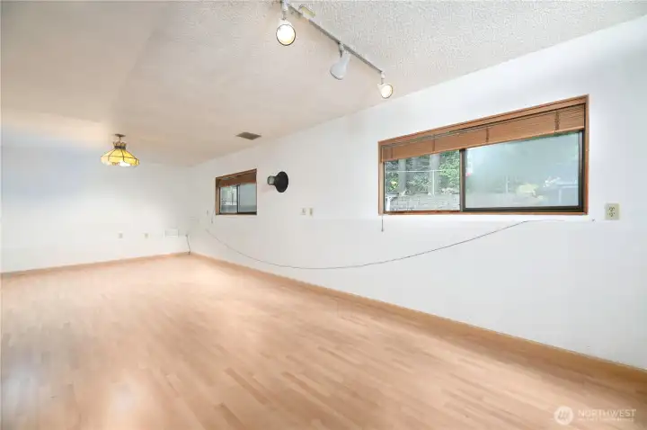 Lower level family room.