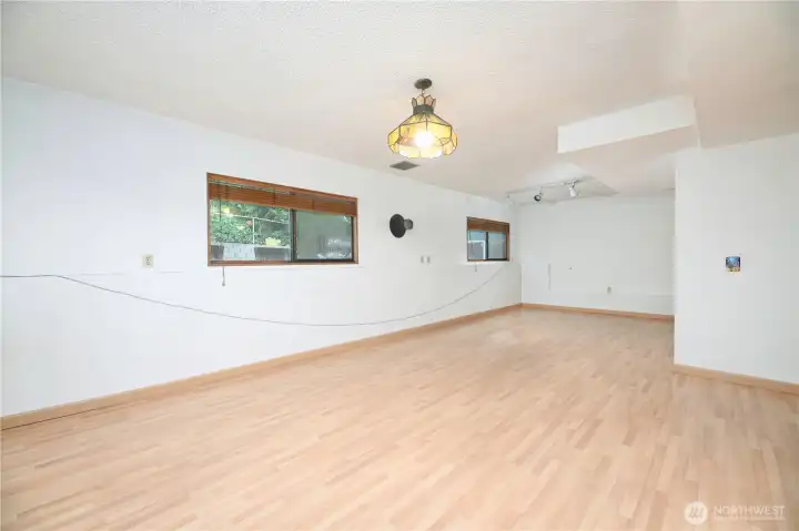Lower level family room.