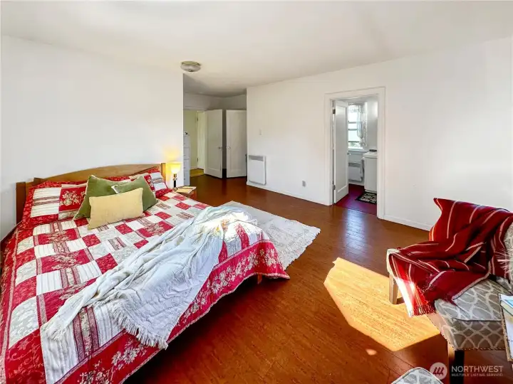 In this photo you see the access to the closet, hall and opening to the private bath.