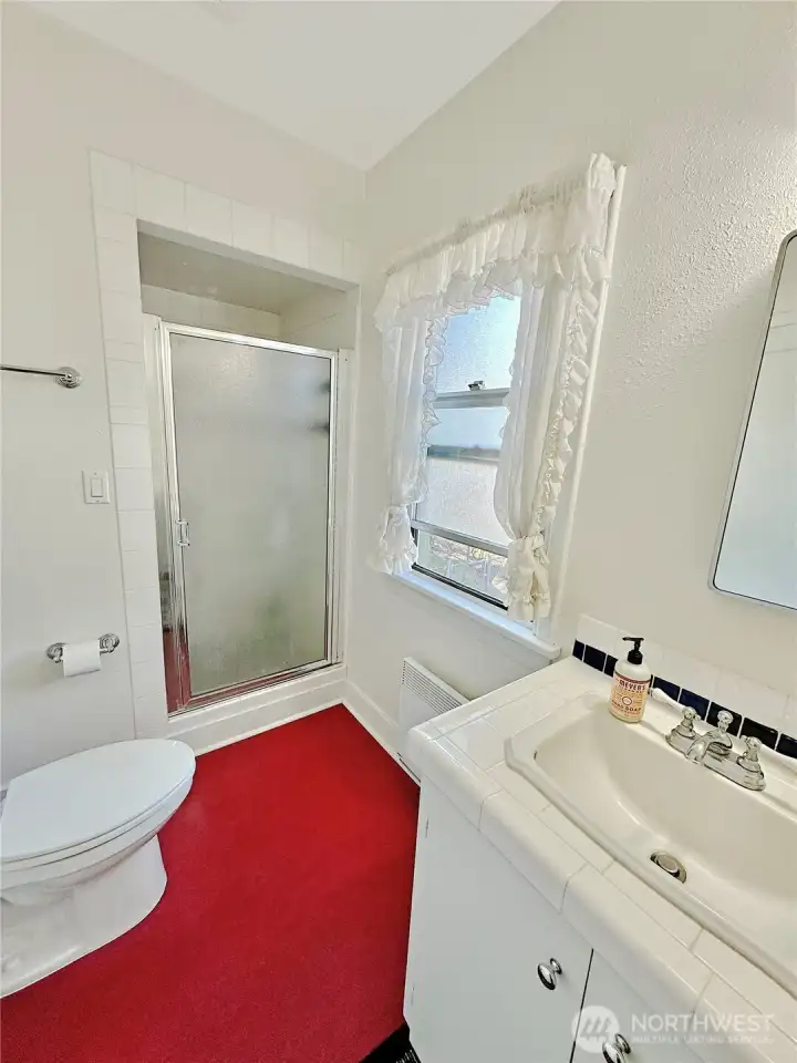 Another primary bath view.
