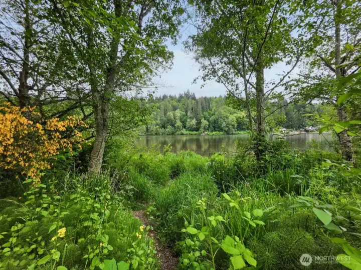 5.5 acres on Lake Ohop.