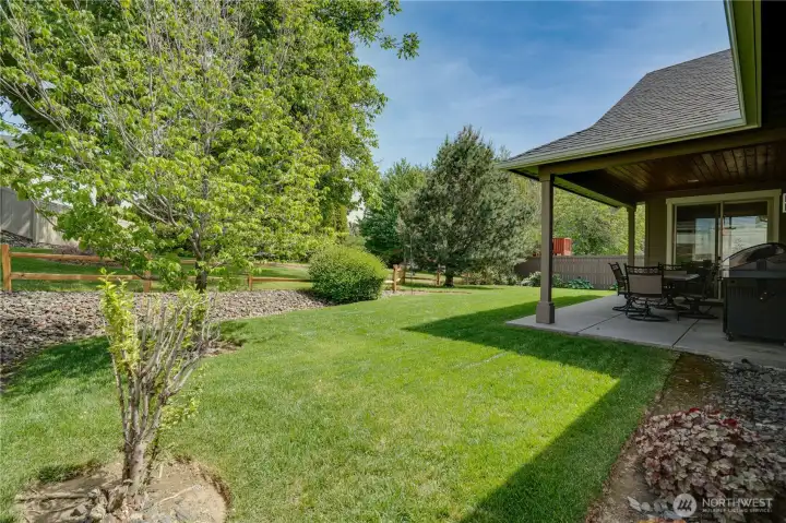 Peaceful Back Yard with Mature Landscaping