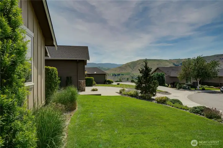Front Yard