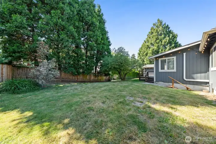 Back Yard