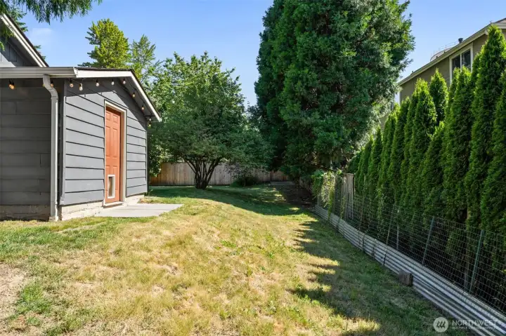 Side Yard