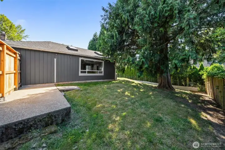 Side yard