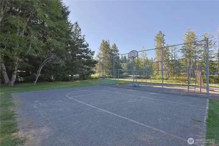 Play some hoops!