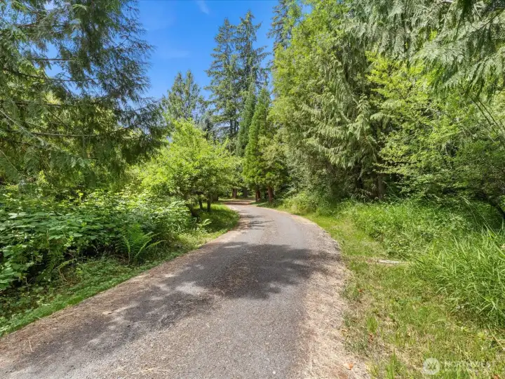 The beautiful tree lined driveway welcomes you home.