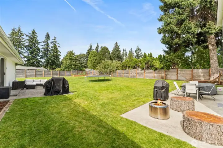Large back yard.