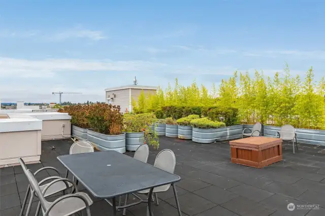 A tremendously large roof top deck with tons of space to share with friends