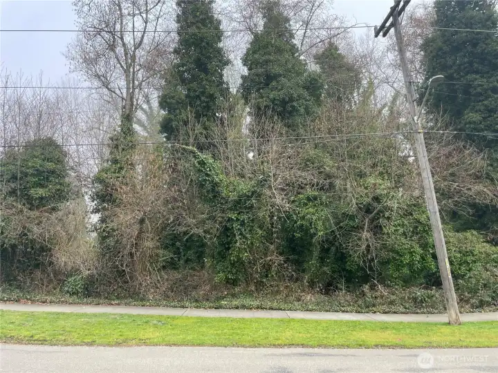 Lot for sale sits behind this lot