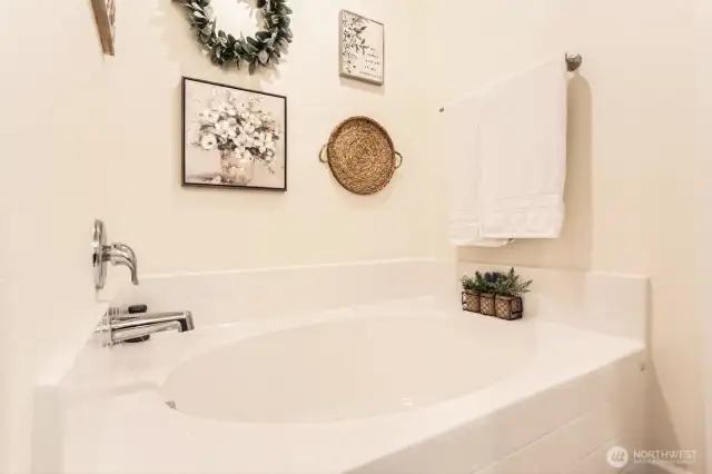 Owners Suite Soaking Tub