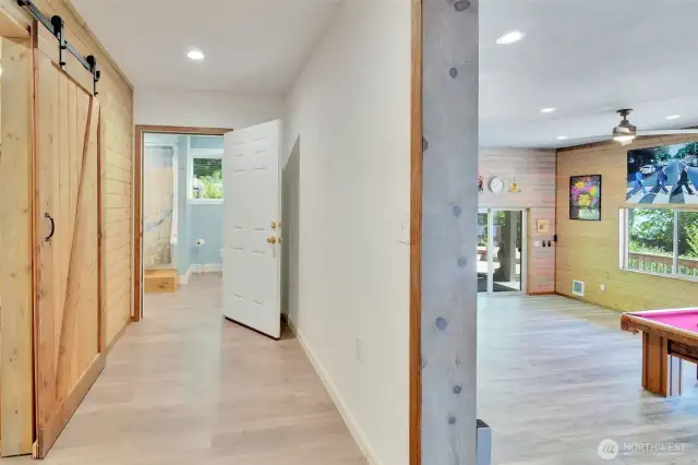 Lower level bathroom