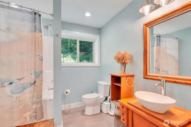 Lower level Bathroom