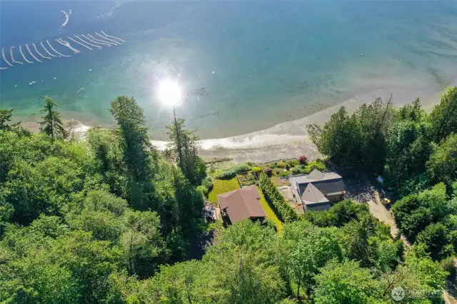 Ariel View
