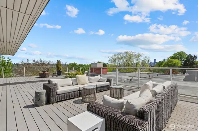 grill garden or sunbathe