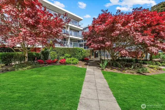 Mature lush landscape borders this midcentury modern condo building
