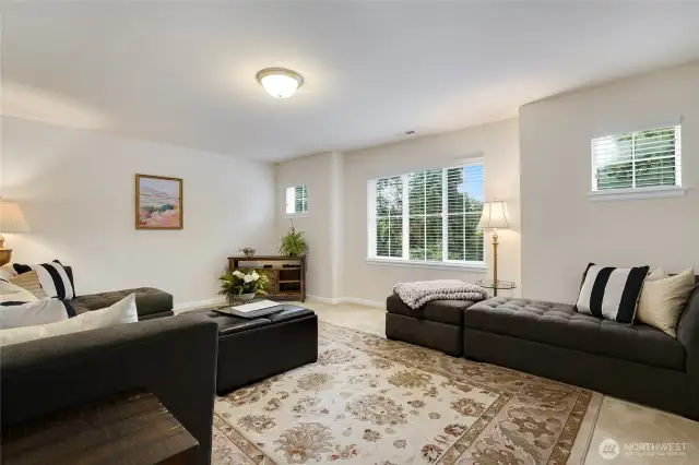Large Bonus Room