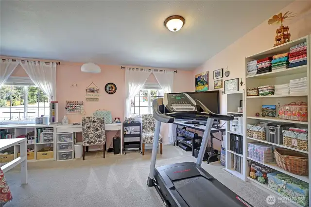 Another view of the guest bedroom/bonus room.