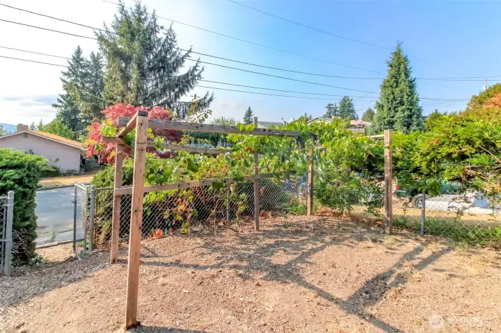 Grapes and lots of room for gardening