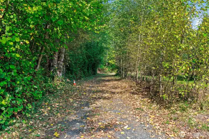 Natural setting.