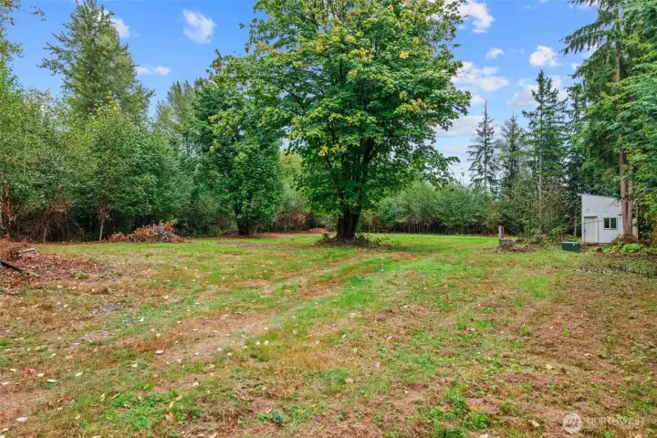 Cleared area, sun exposure.