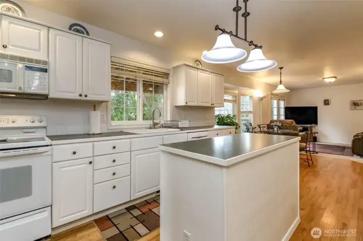Eat-in kitchen featuring rich hardwood floors, and a versatile island that anchors the space for cooking. Abundant workspace and generous cabinetry keep everything within reach, while a walk-in pantry adds storage for all your culinary needs. A bright window above the sink frames a view of the backyard, inviting natural light to pour in. The kitchen blends practicality with style, making everyday meals and gatherings feel effortless and welcoming