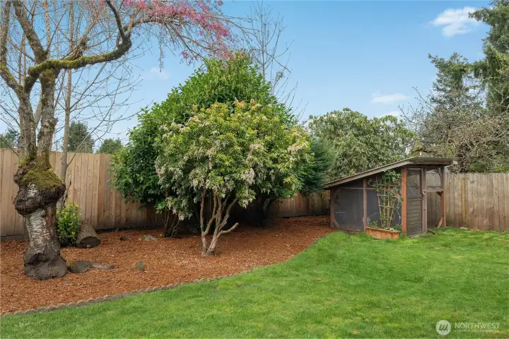 View of fence line with chicken coop|Garden shed.  Whatever you want to make it!
