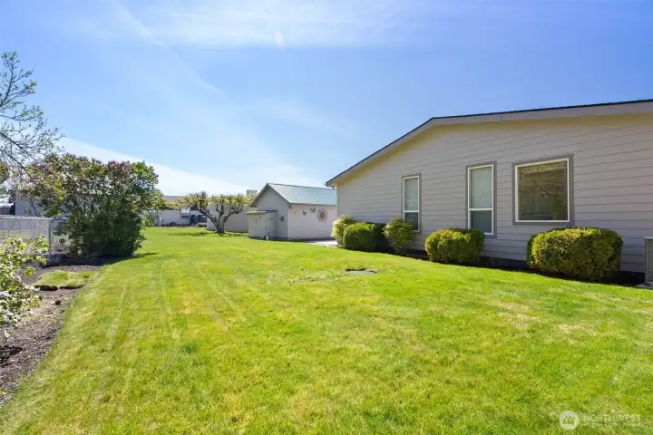 Fruit trees, Native PNW plants and trees + shed for yard tools