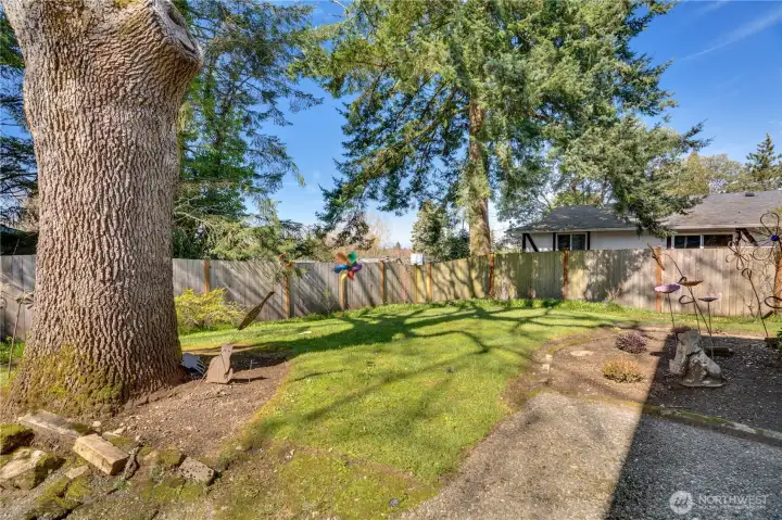 Front Lawn of Unit A