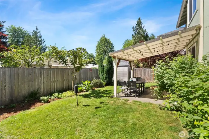 More of your covered space and well taken care of backyard