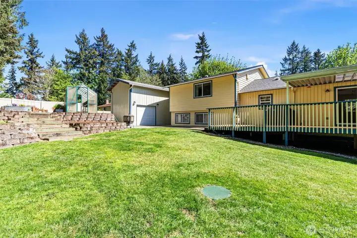 Large backyard