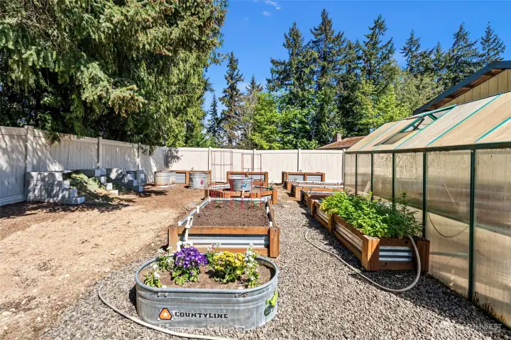 More raised beds