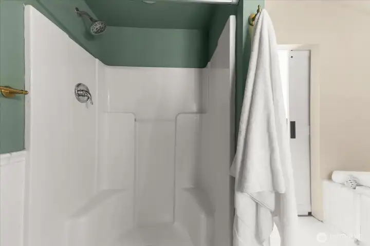 Primary Shower
