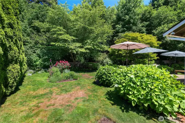 Backyard paradise!