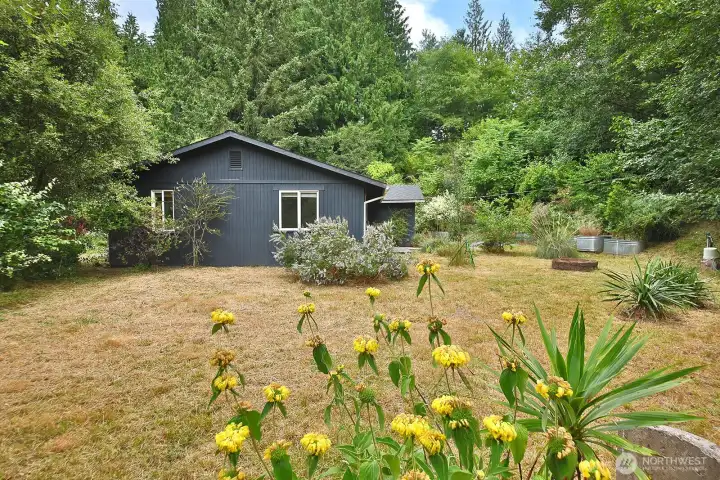 Lush, green surroundings to enjoy. The evergreen trees are magestic! Lush, green surroundings to enjoy. The evergreen trees are magestic!