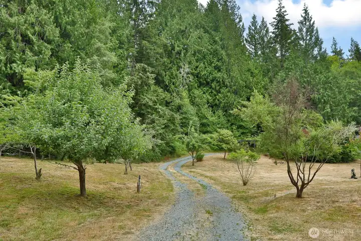 Forty fruit trees were originally planted here. Seller has a map identifying all the fruit. Forty fruit trees were originally planted here. Seller has a map identifying all the fruit.