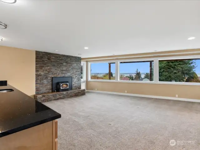 View from entrance to family room diagonally across to fireplace and dog door to exterior.