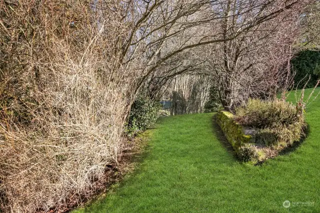 A grassy pathway leads you around the rear yard and up to the front yard. This arbor is stunning in the summer when the leaves fill in.