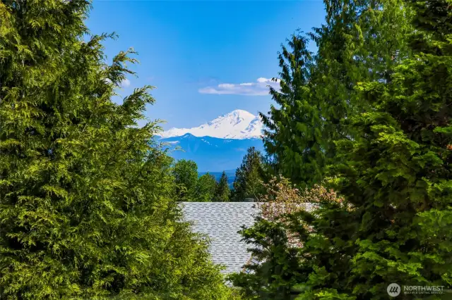 Majestic view of snow-capped Mt. Baker framed by evergreens provides a dramatic visual from the deck and upper-level windows.