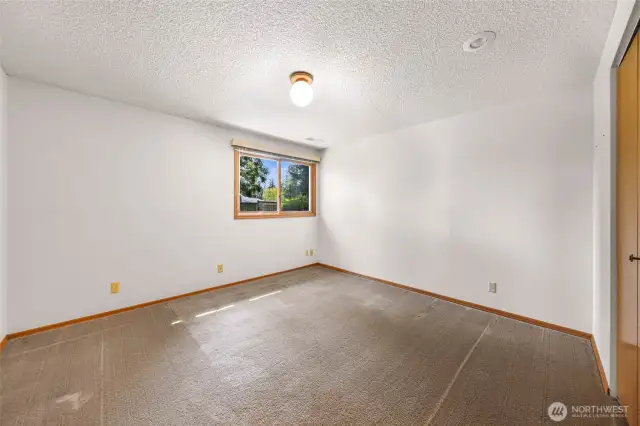 A second lower-level bedroom includes ample floor space, large windows, and a built-in closet—ideal for guests, hobbies, or home office use.