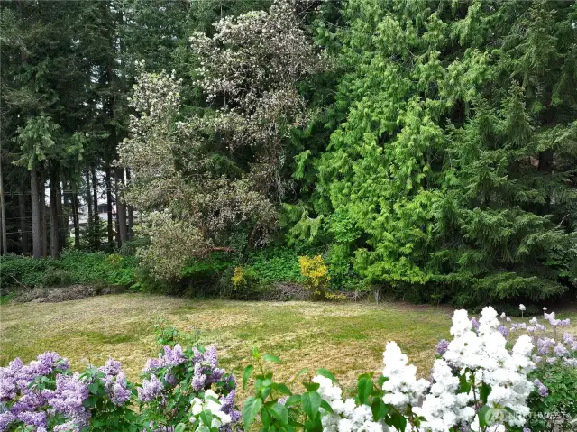 This gently sloping lot is well landscaped and partially treed.